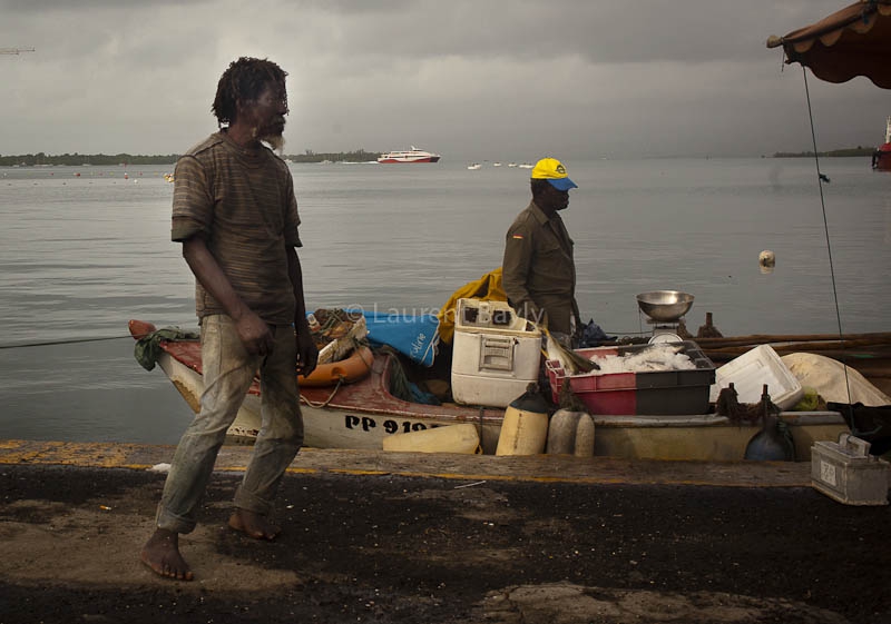Guadeloupe, nuances du réel